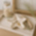 TRAZZO STARFISH TRINKET DISH JESMONITE.jpg