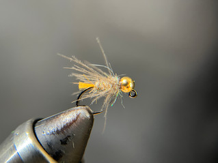 Beaver Tailwater White River fly fishing