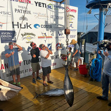 All In Sportfishing 
Ocean City, MD