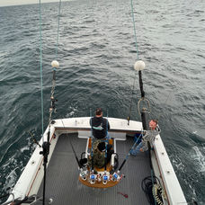 All In Sportfishing 
Ocean City, MD