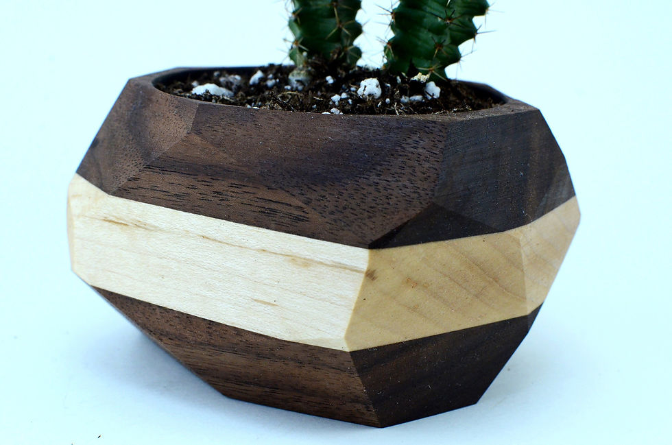Thumbnail: Geometric Cactus & Succulent Planter