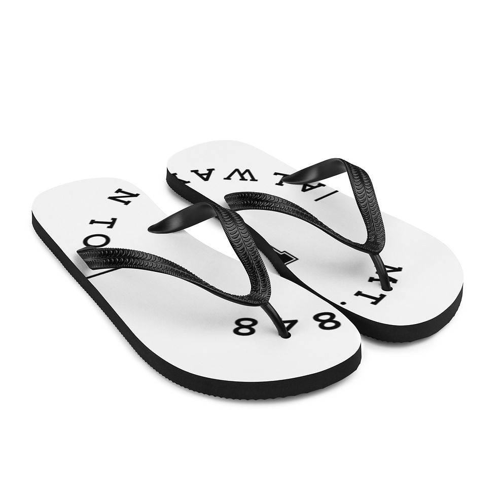 Miniaturbild: Flip-Flops