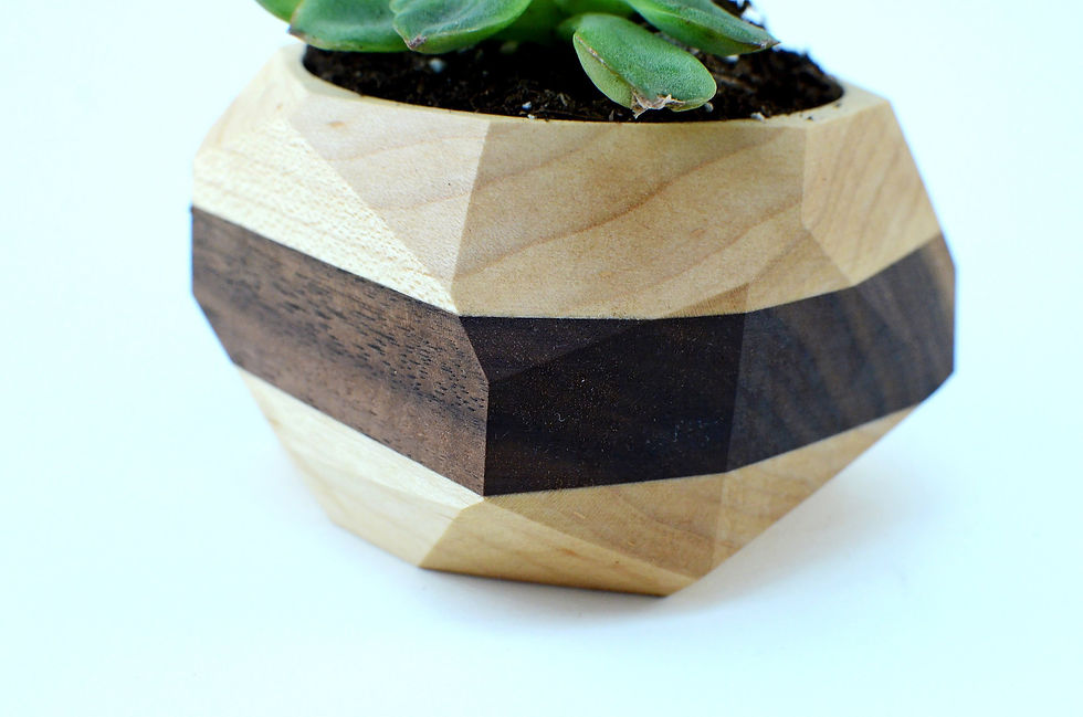 Thumbnail: Geometric Cactus & Succulent Planter