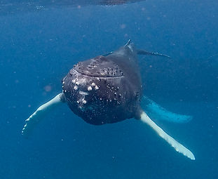 Screenshot 2024-03-25 at 18.08.32.jpeg