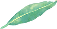 Feuille tropicale