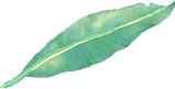 Tropisches Blatt