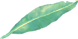 Hoja tropical