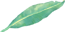 Hoja tropical