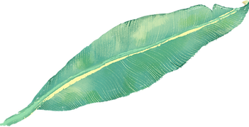 Tropical Leaf