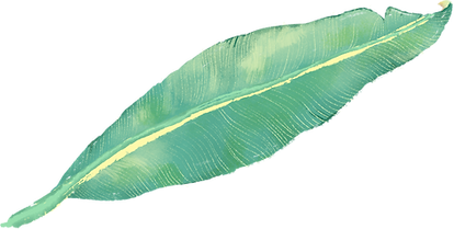 Tropical Leaf