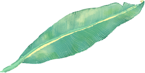 Tropical Leaf