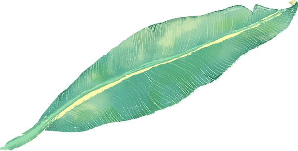 Tropical Leaf