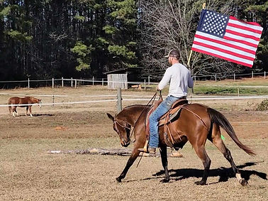 The Point Ranch Horse Sales | Ten Point Ranch