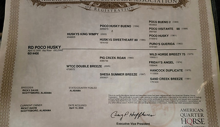 Chico Papers.jpg