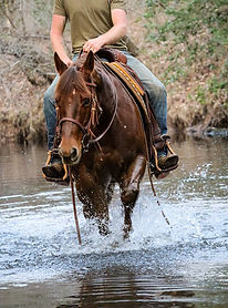 Coop Creek.jpg