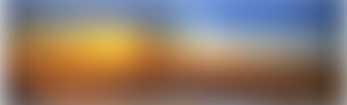 Unveiling the Beauty: A Journey Through Natural Light Photography