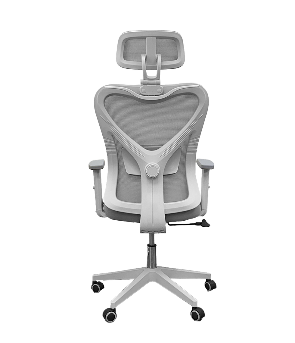Miniatura: Silla Ergonómica - BOTICHELLI - Gris