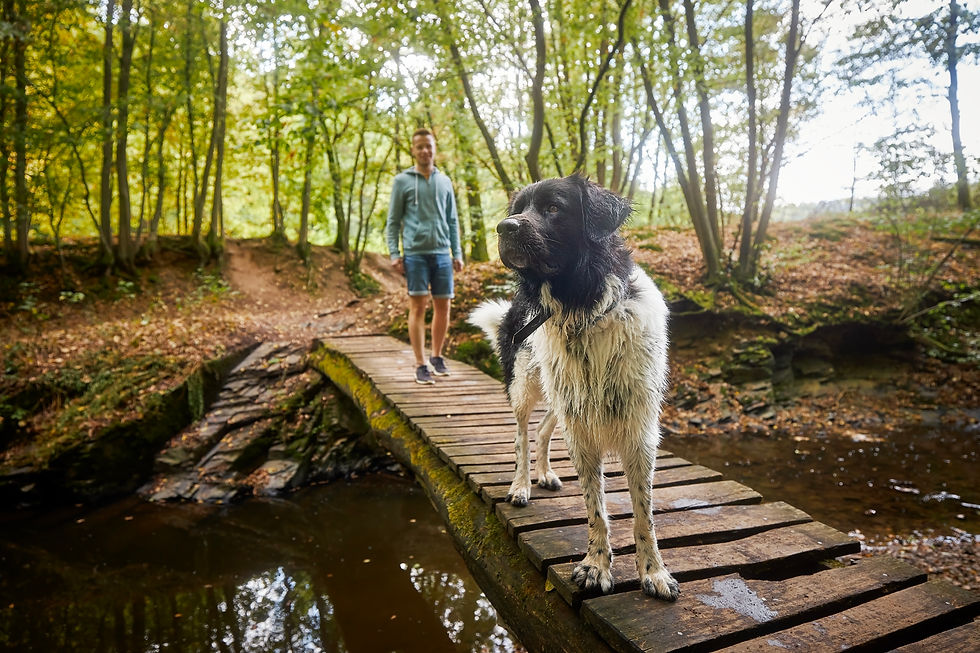 a man walking his dog