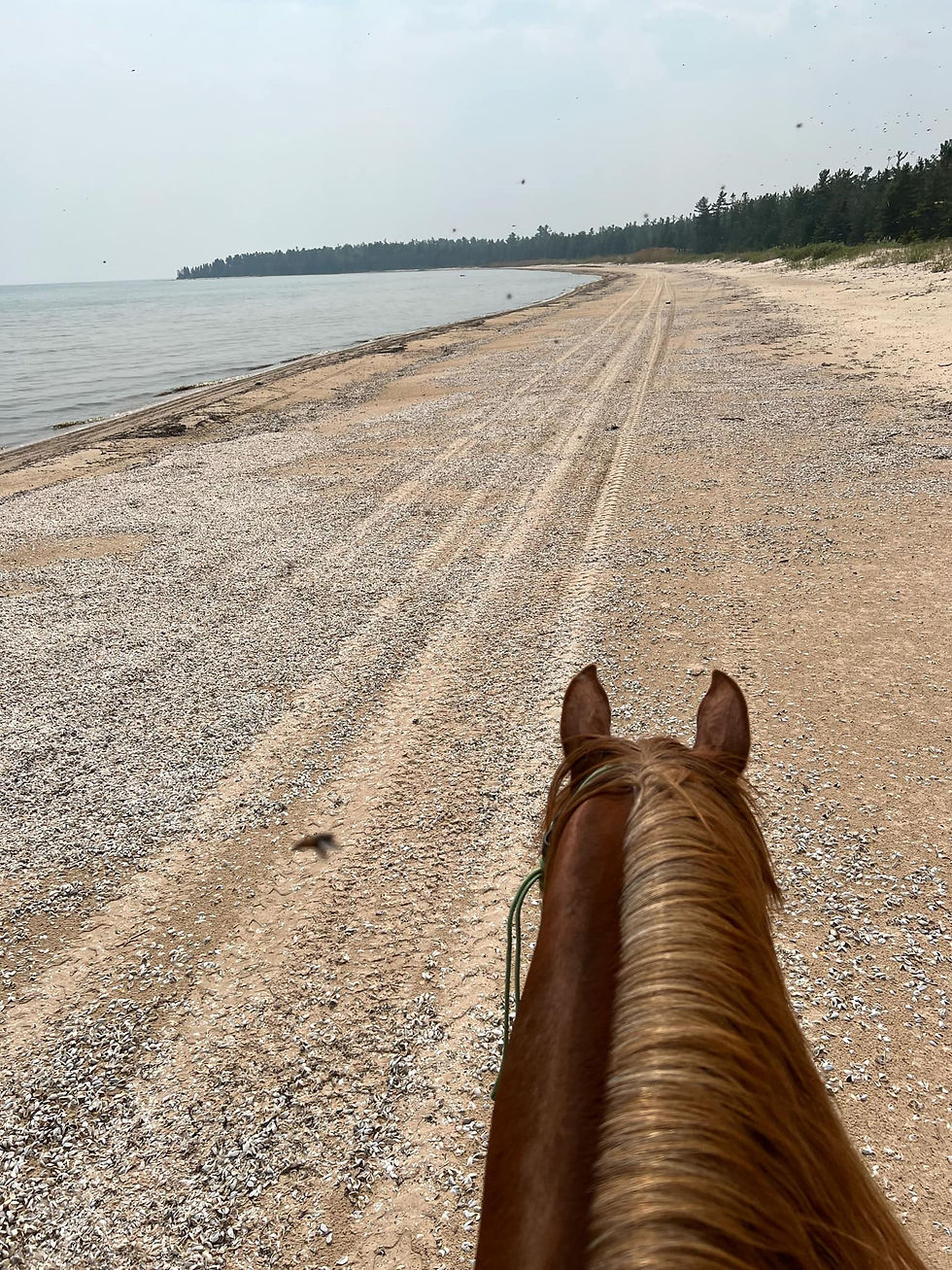 Lake Michigan