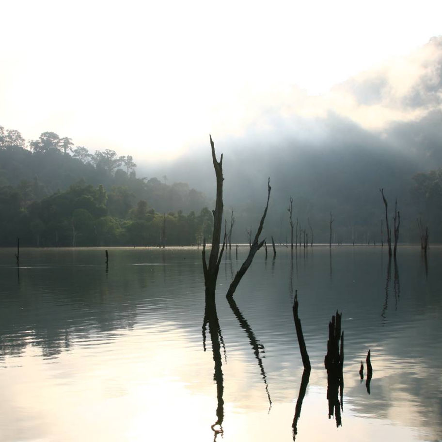 Khao Sok Übernacht Ausflug