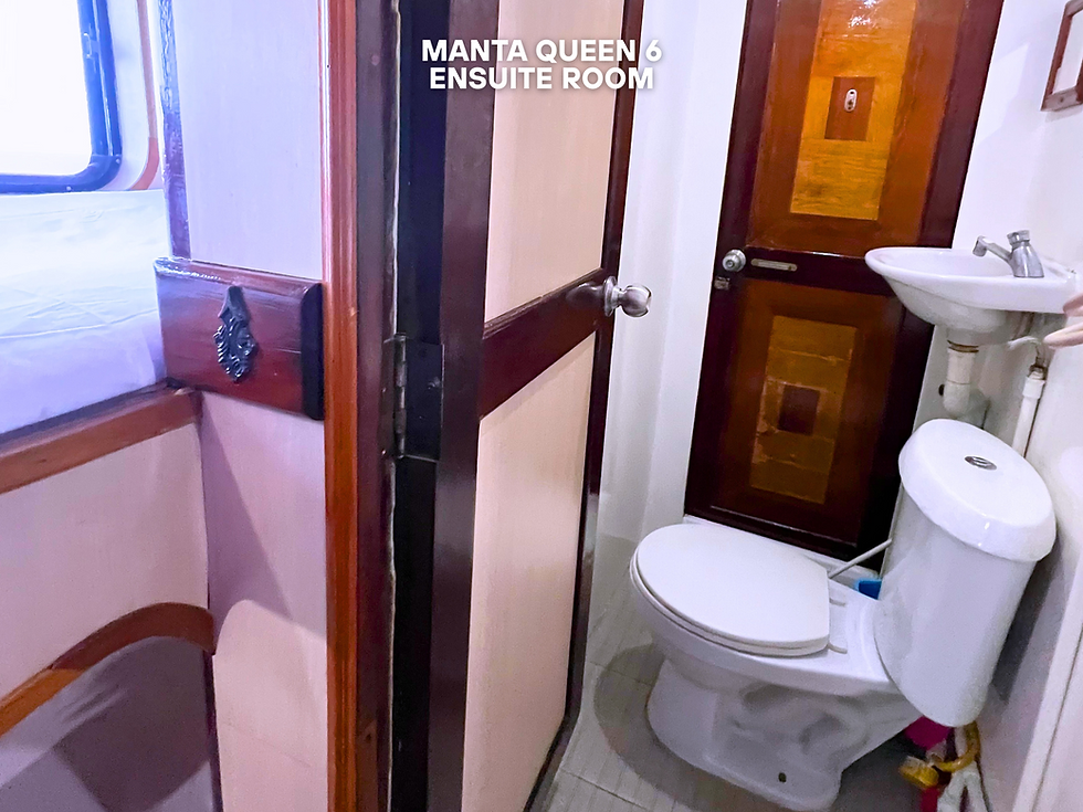 Tauchsafari Andamensee