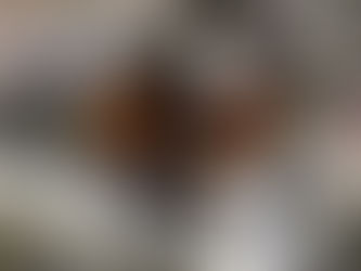 【展示会出展情報】 ニコニコ超会議