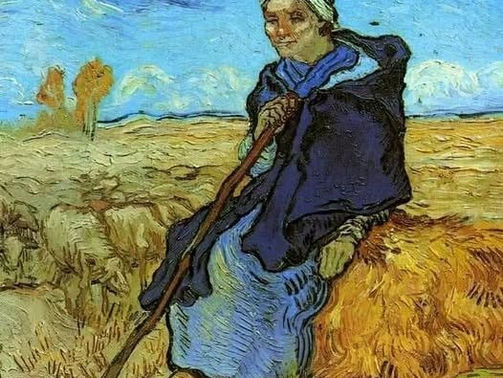 Inteligência: a arte de viver com a própria ignorância