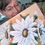 Thumbnail: Peaches and cream daisy print