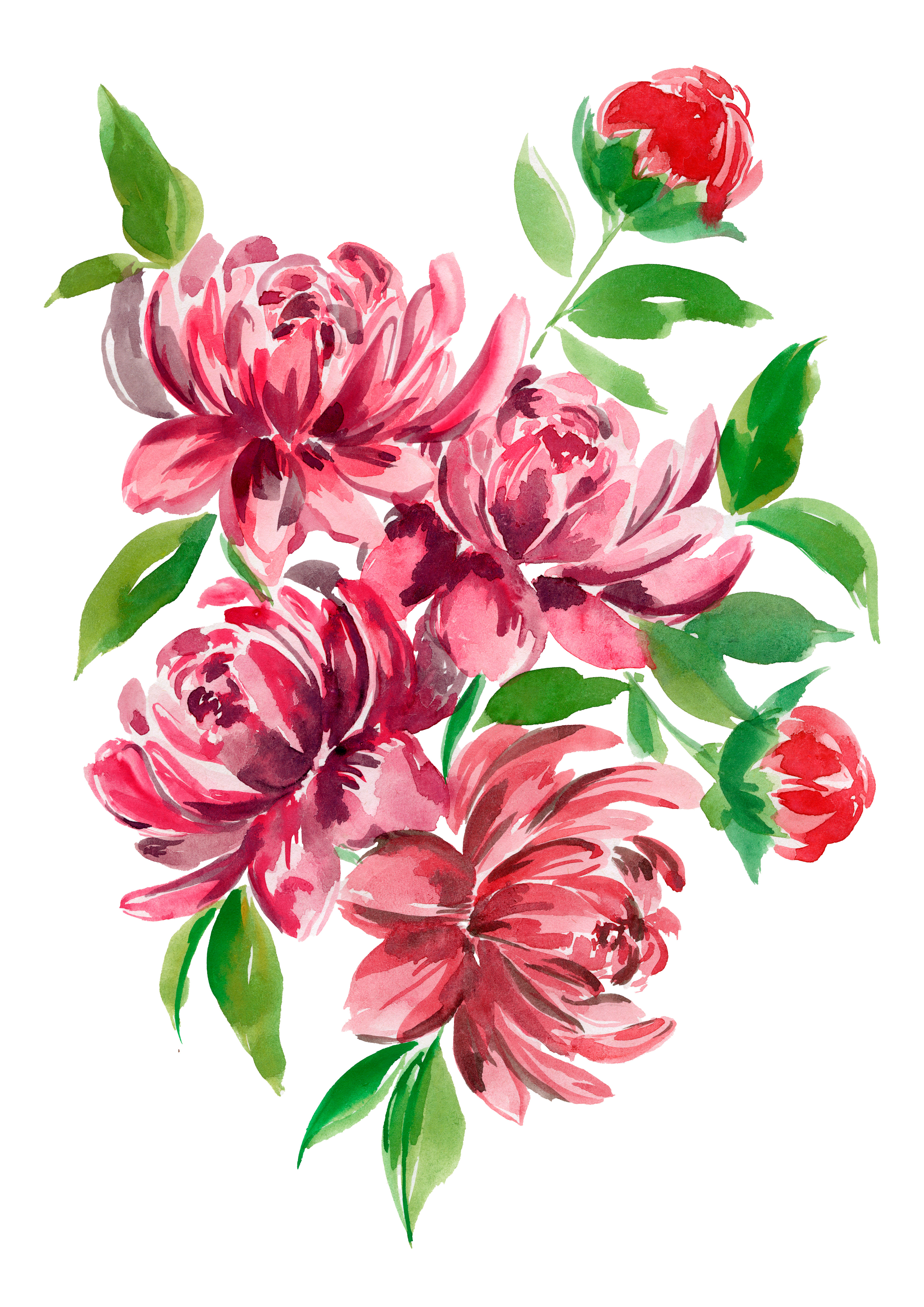 Peonies