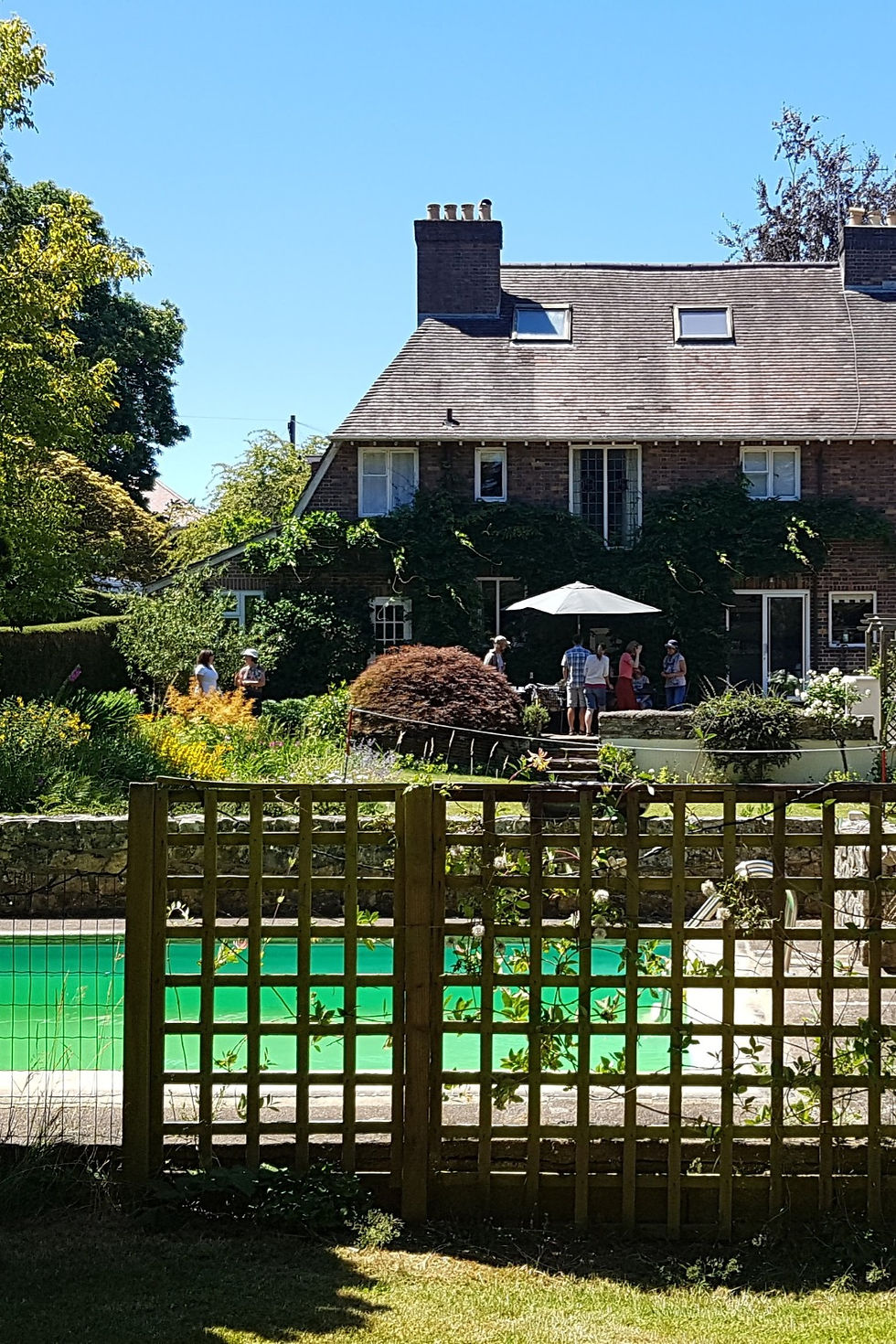 To Feel Like Our Garden