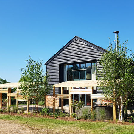 View of the bespoke pergolas and multi-stemmed birch trees