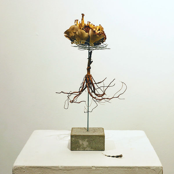 Impaled 1_Blue oyster mushrooms, stainless steel threaded rod, aluminum wire, concrete bas