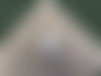 Capture Your Unique Love Story with Reaves Media Wedding Photography in Montgomery Alabama