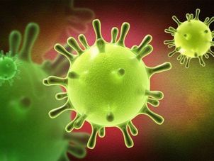 Het coronavirus houdt nu ook het Groenpark in zijn greep.