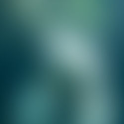 STORY #8: EAST OF THE SUN, WEST OF THE MOON