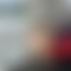 Whales, wilderness and walking home from weddings: Roadtrip USA & Canada Part 3