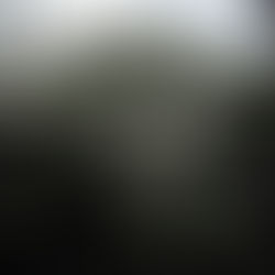 FAIRYTRAILS #4: Elder