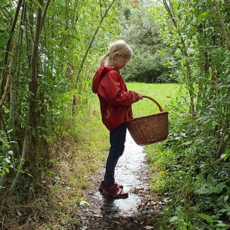 FAIRYTRAILS #6: Willow