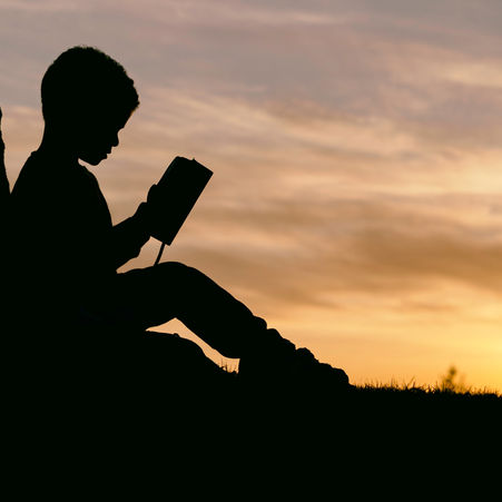 The Word & the Wild: World Book Day 2021