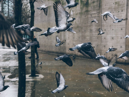 I Am A Born-Again Christian, But My Friends Still Want Me To Party