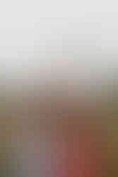 Stagediving der Braut.