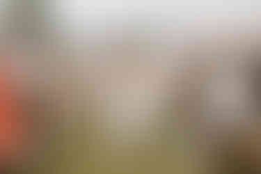 Auszug des Brautpaars auf der Wiese.