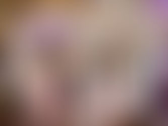 More Than Homes: How WCD is Creating Real Community Impact