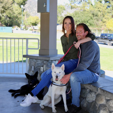 Help us Save Lives, Support our Dog Rescue