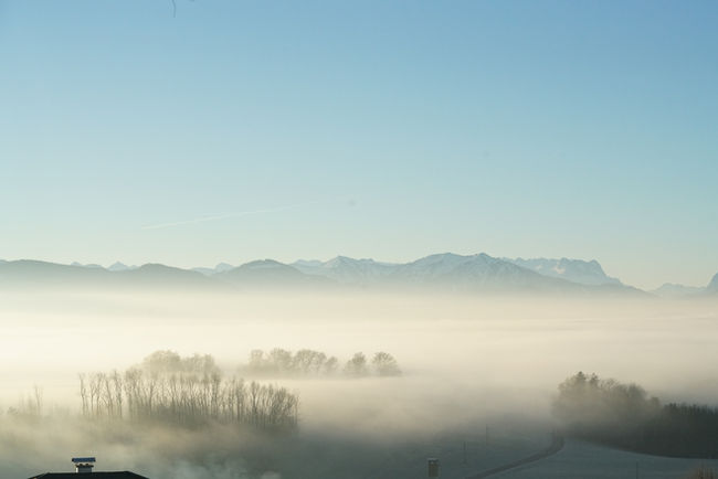 foggy morning...
