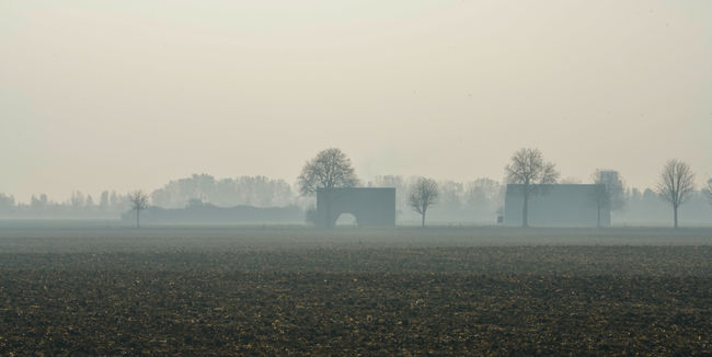 early morning in the Kamptal...