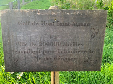 TPC 2026 Rouen (17) L'écologie partout présente..jpg
