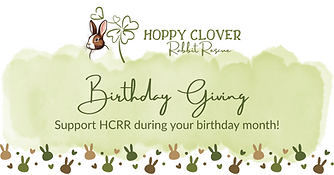 birthdaygiving.png