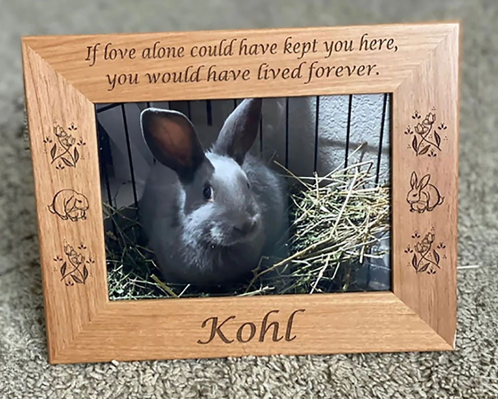 In rememberance: a photo of Kohl.