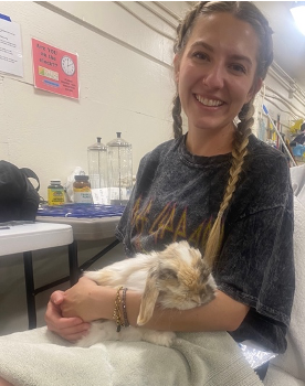Volunteer Chelsea Pangilinan grooms an angora rabbit.